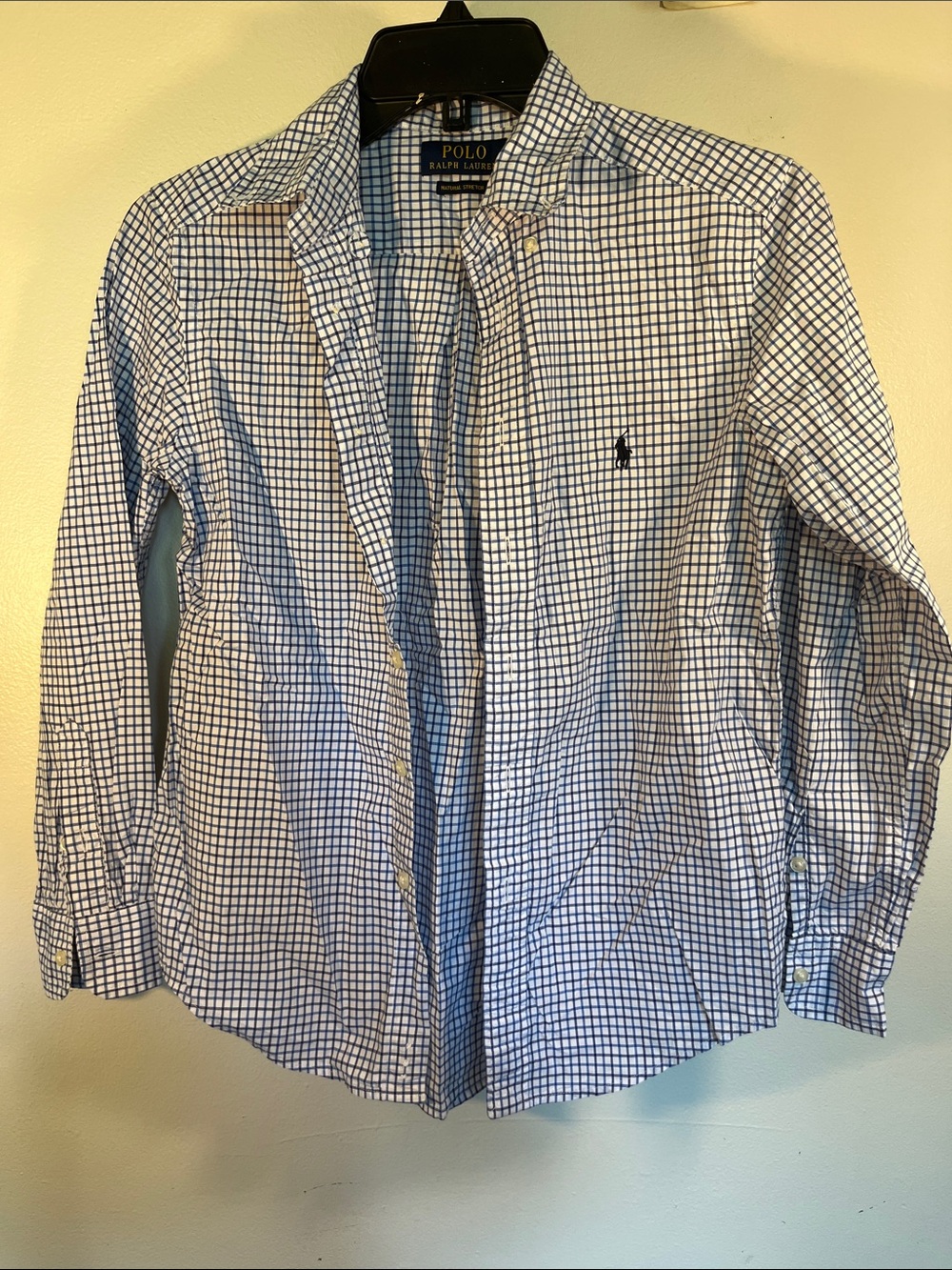 Polo by Ralph Lauren Blue and White Check Button-Down Shirt